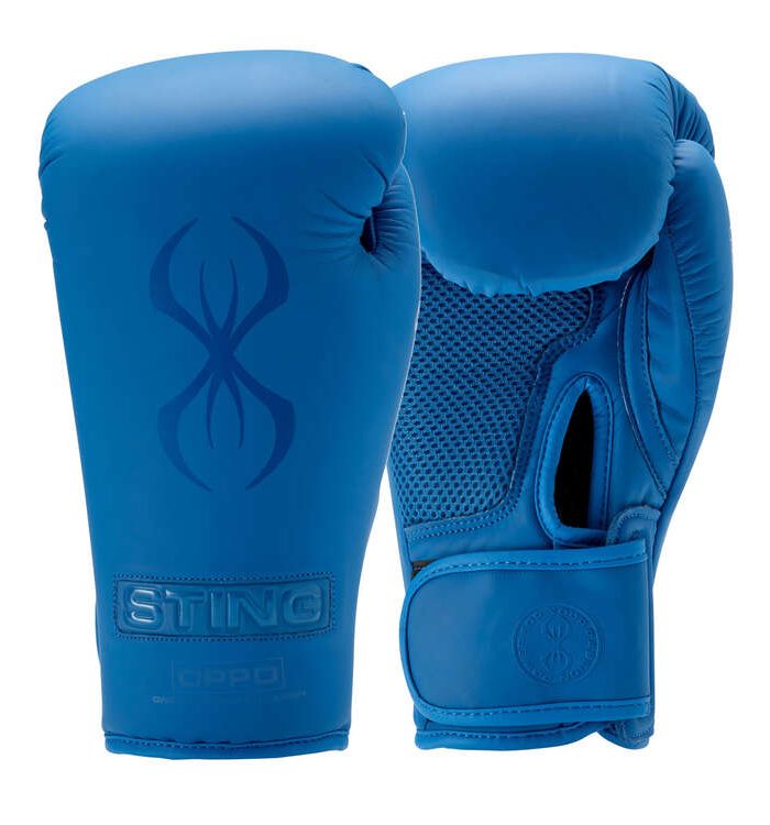 Premium Boxing Gloves